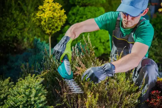 landscaping services Cochituate